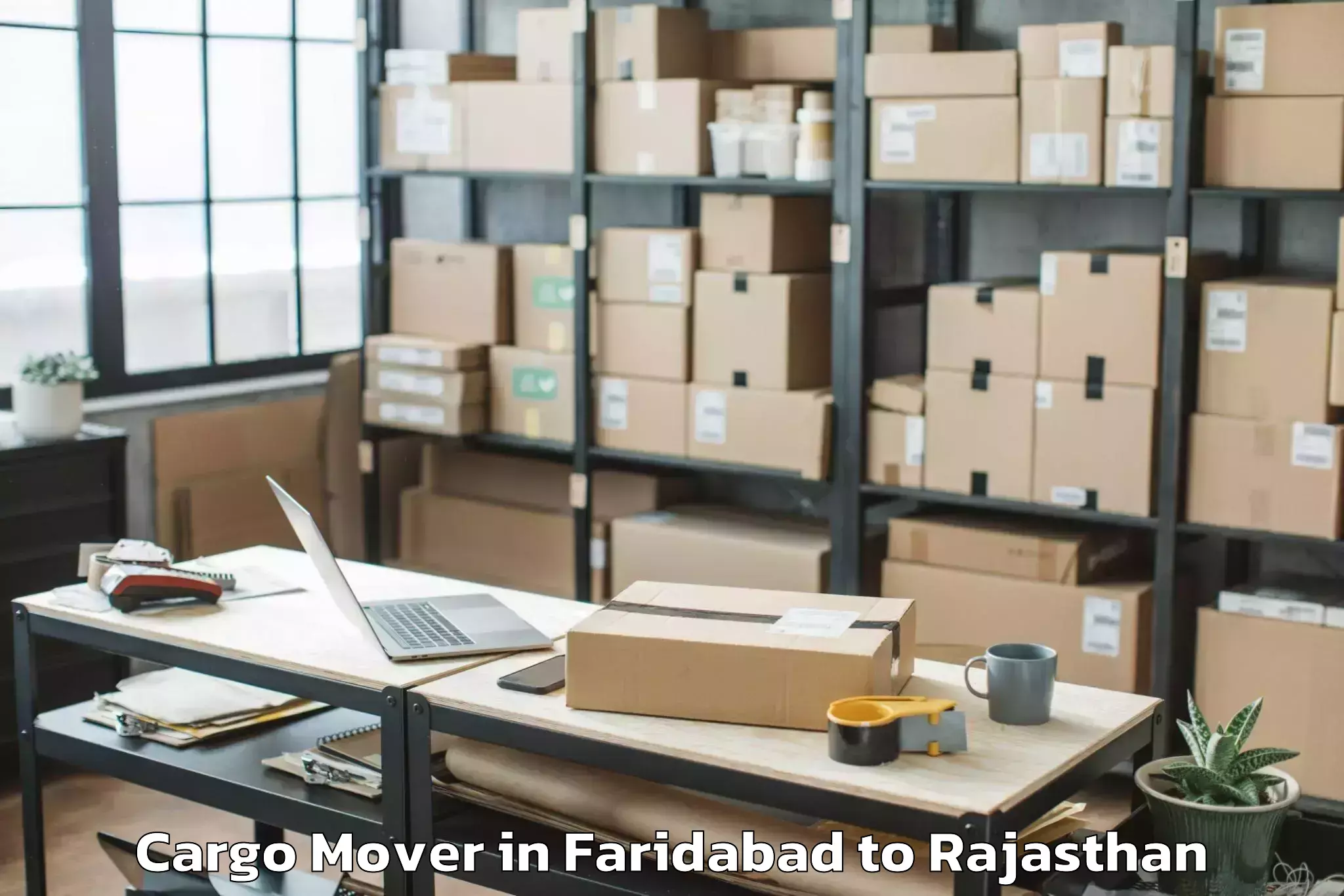 Book Faridabad to Gangapur Bhilwara Cargo Mover